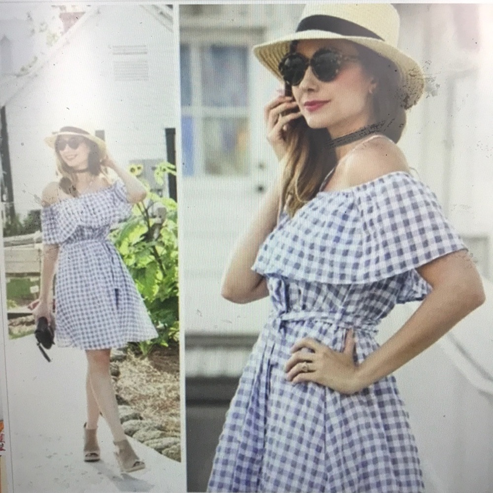 Anthropologie 11.1 Tylho Kinsey gingham dress
